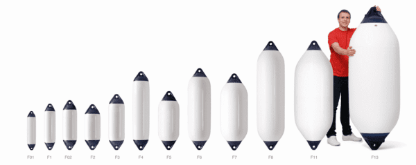 284-Fscale.jpg
